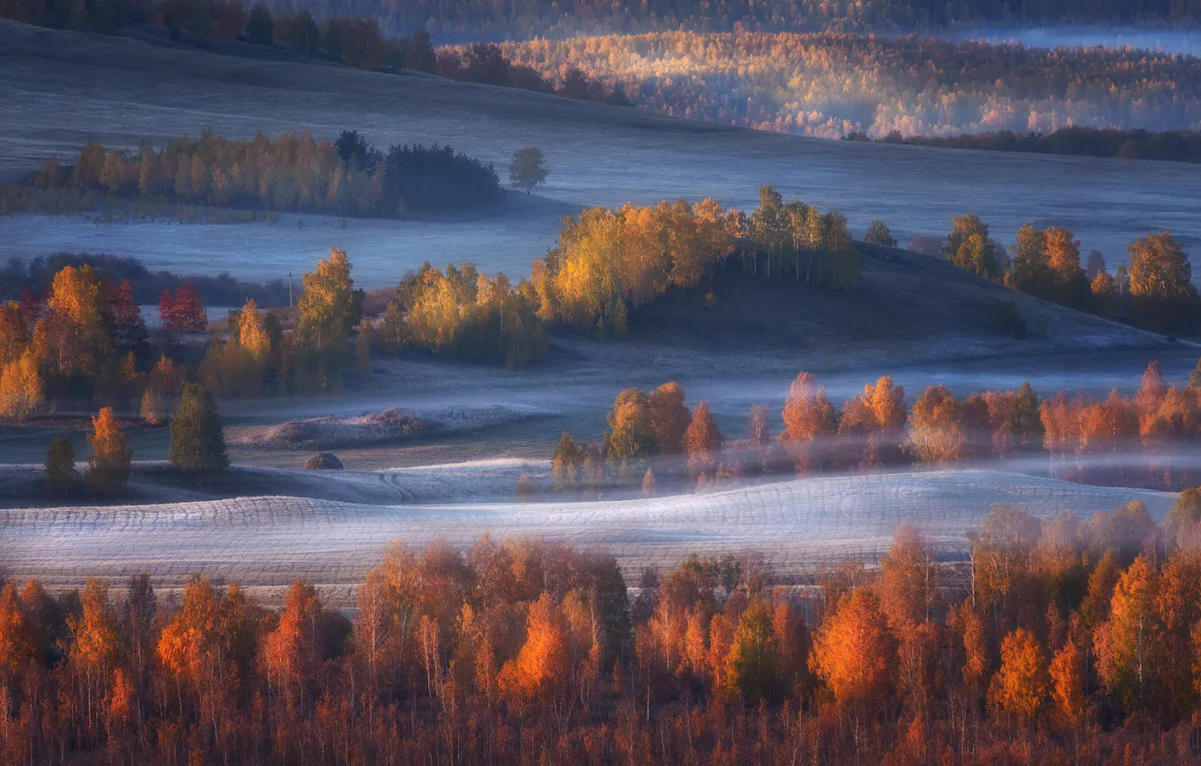 Фото обои осень, лес, свет, деревья, природа, туман, холмы, вид