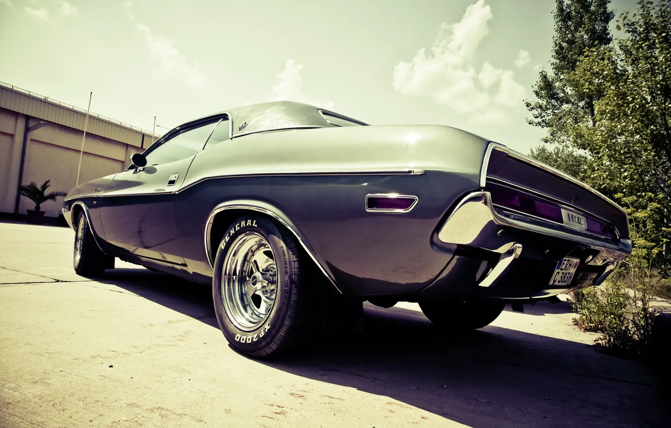 Фото обои Dodge, Challenger, photo, photographer, muscle car, markus spiske, oldtimer