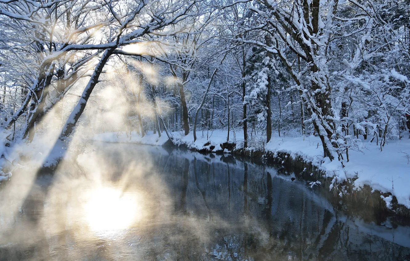 Фото обои зима, лучи, свет, снег, природа, река, блик