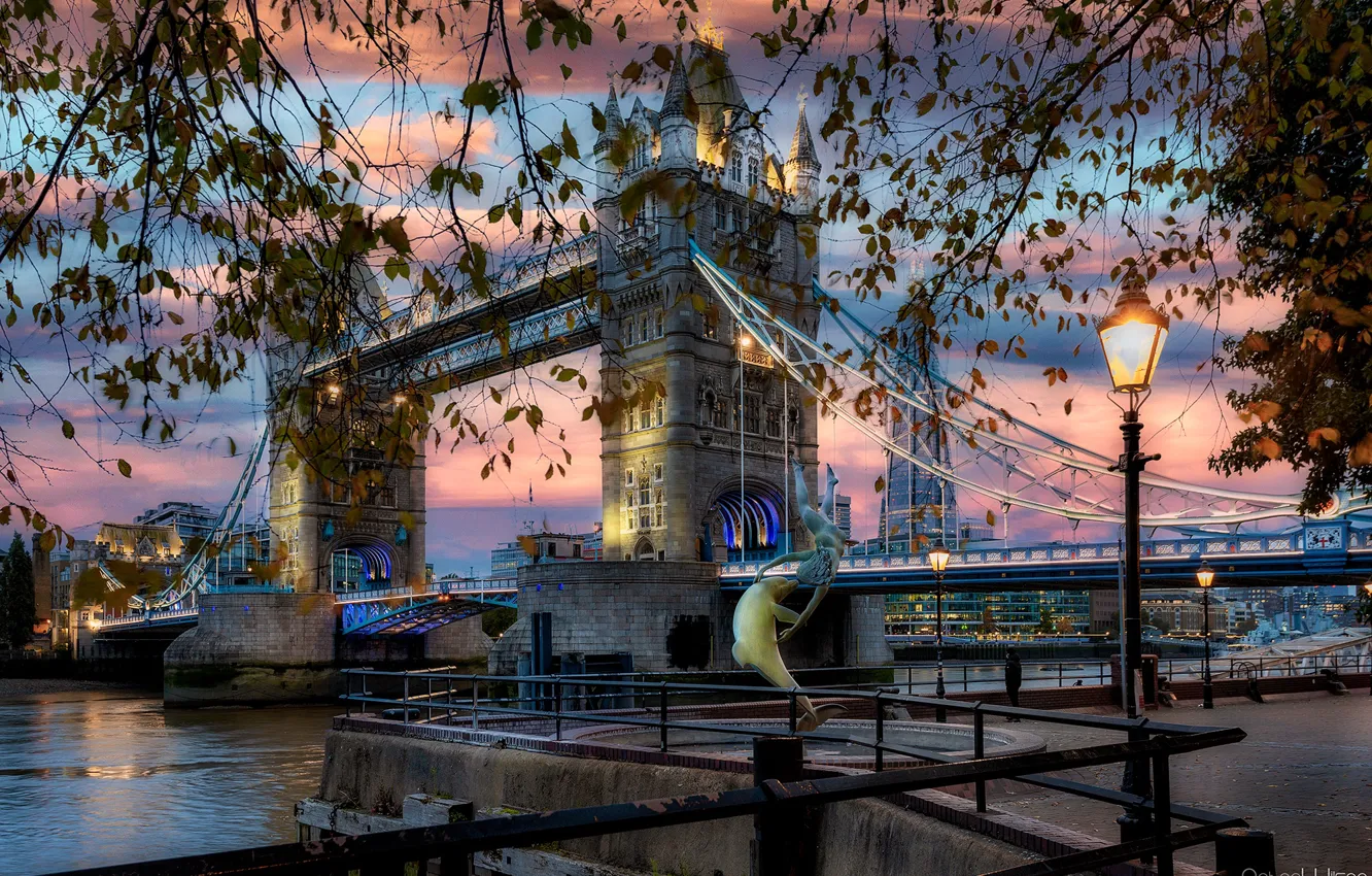 Фото обои ветки, мост, город, река, рассвет, Англия, Лондон, здания