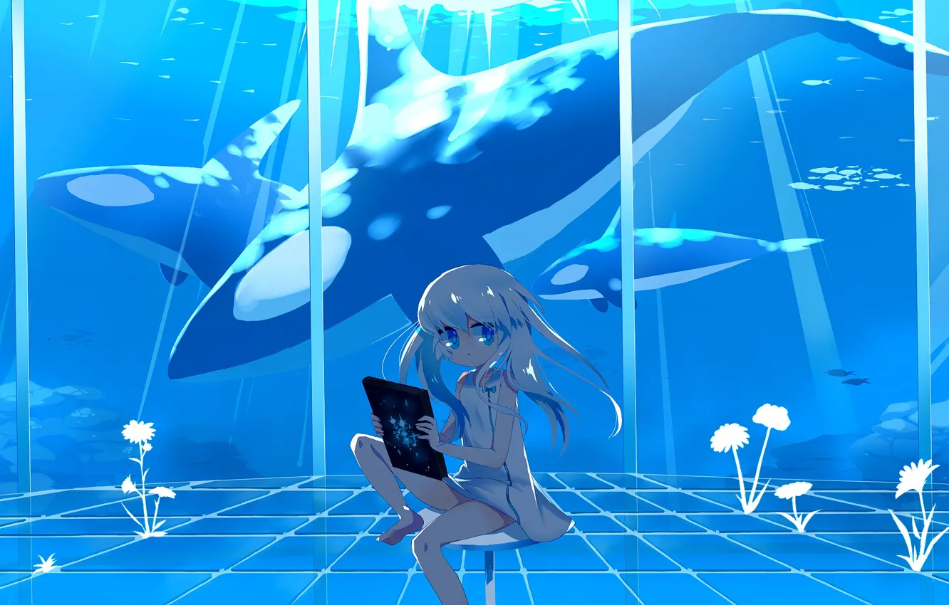 Фото обои вода, аквариум, аниме, кит, девочка
