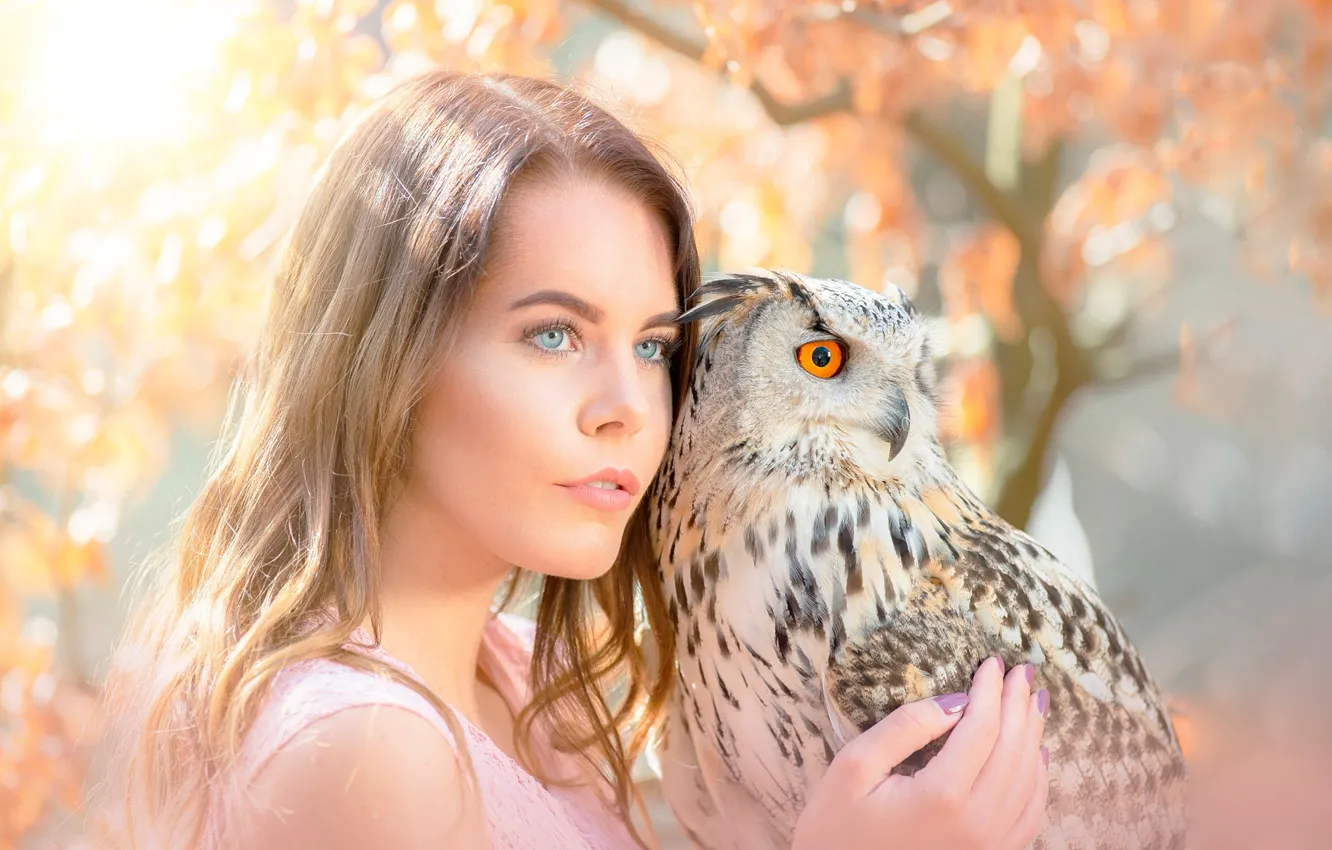 Фото обои девушка, солнце, деревья, фон, сова, птица, портрет, макияж
