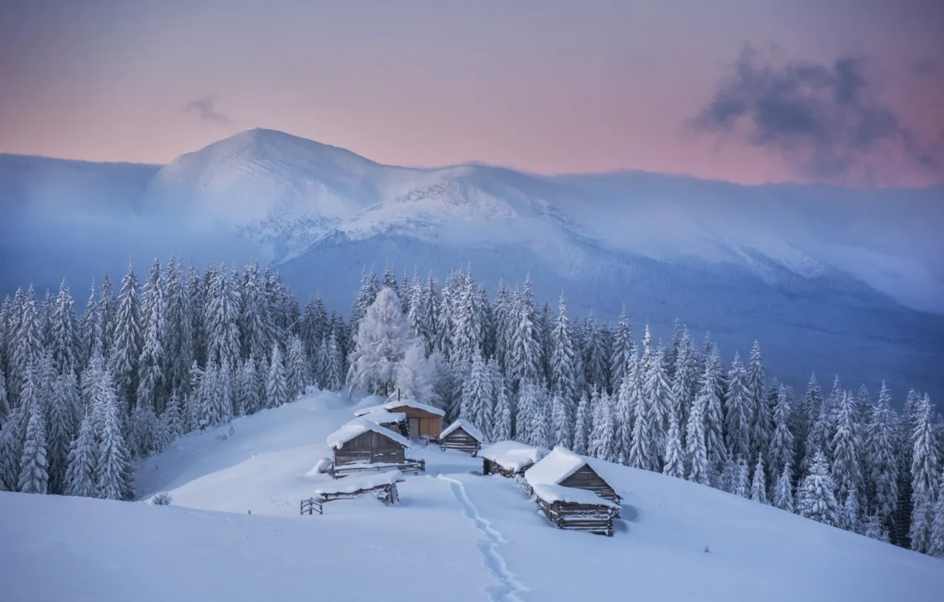 Фото обои зима, лес, снег, горы, дом, Карпаты, Mike Remeniuk