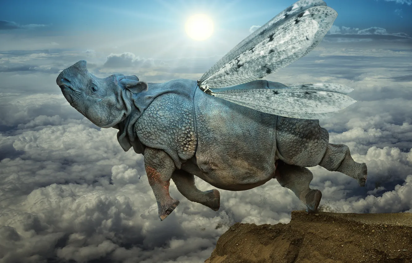 Фото обои облака, прыжок, крылья, носорог