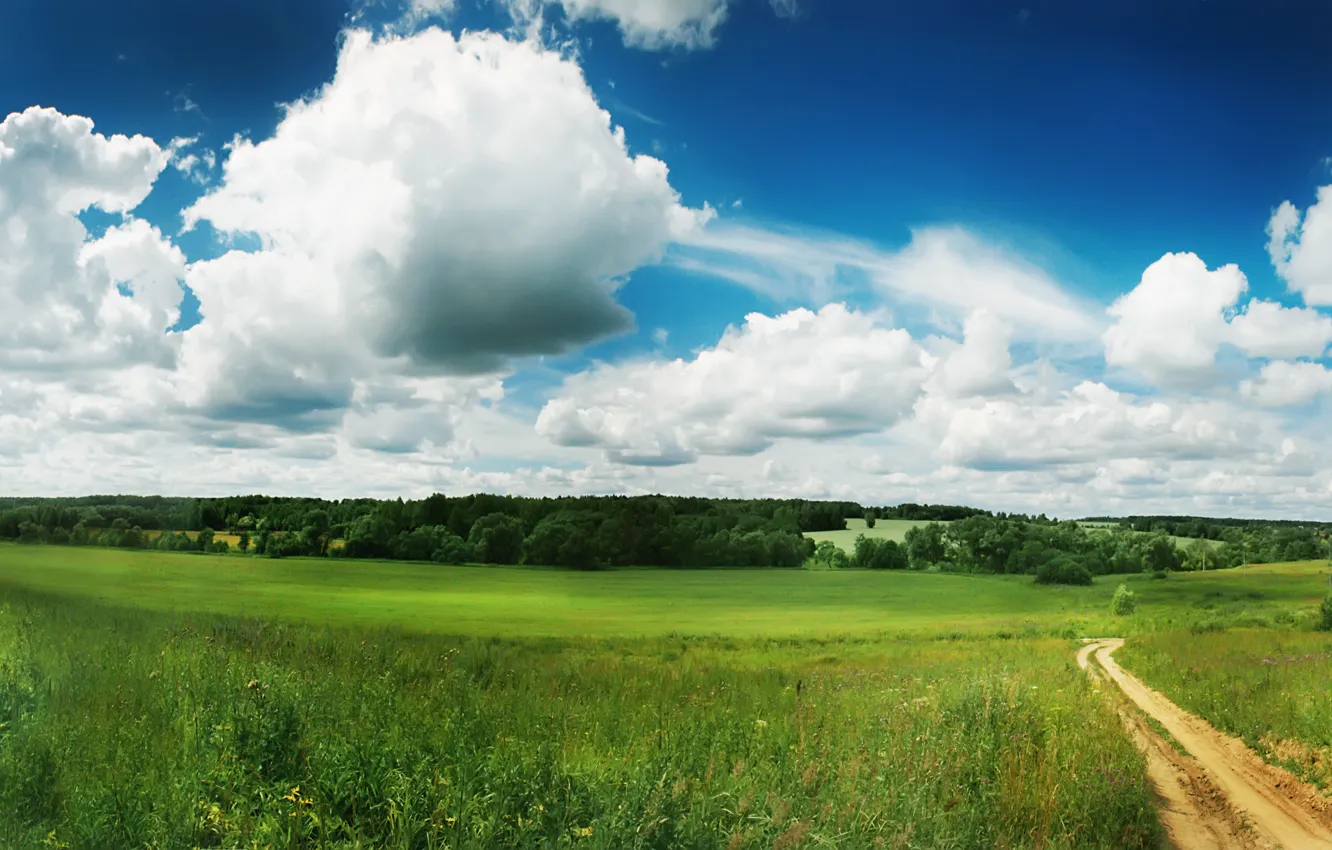 Фото обои зелень, поле, небо, облака, природа, green, тропа, дорожка