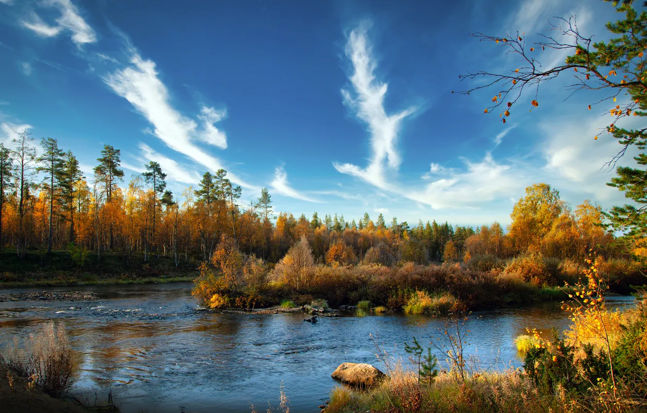 Фото обои river, trees, yellow, autumn