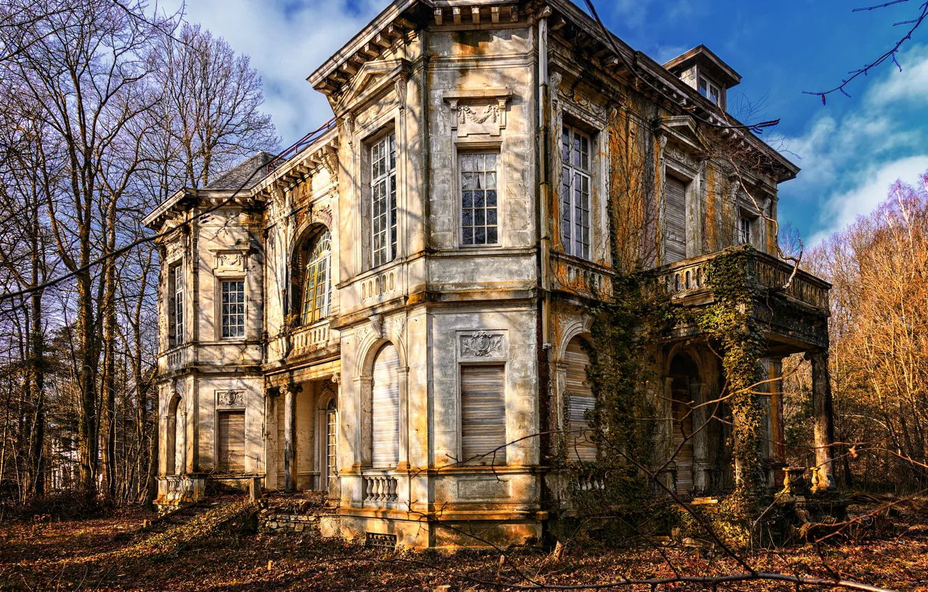 Фото обои forest, castle, villa, ancient, abandoned, old house
