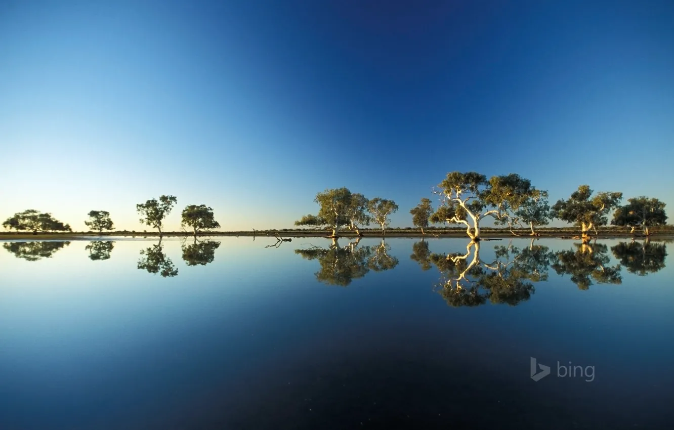 Фото обои небо, вода, деревья, отражение, разлив, австралия