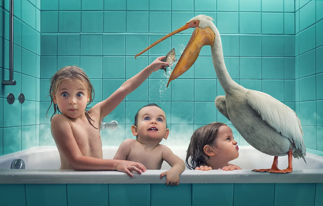 Фото обои дети, птица, рыба, ванна
