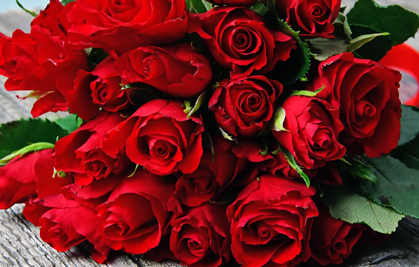 Фото обои красный, розы, red, wood, roses, bouguet
