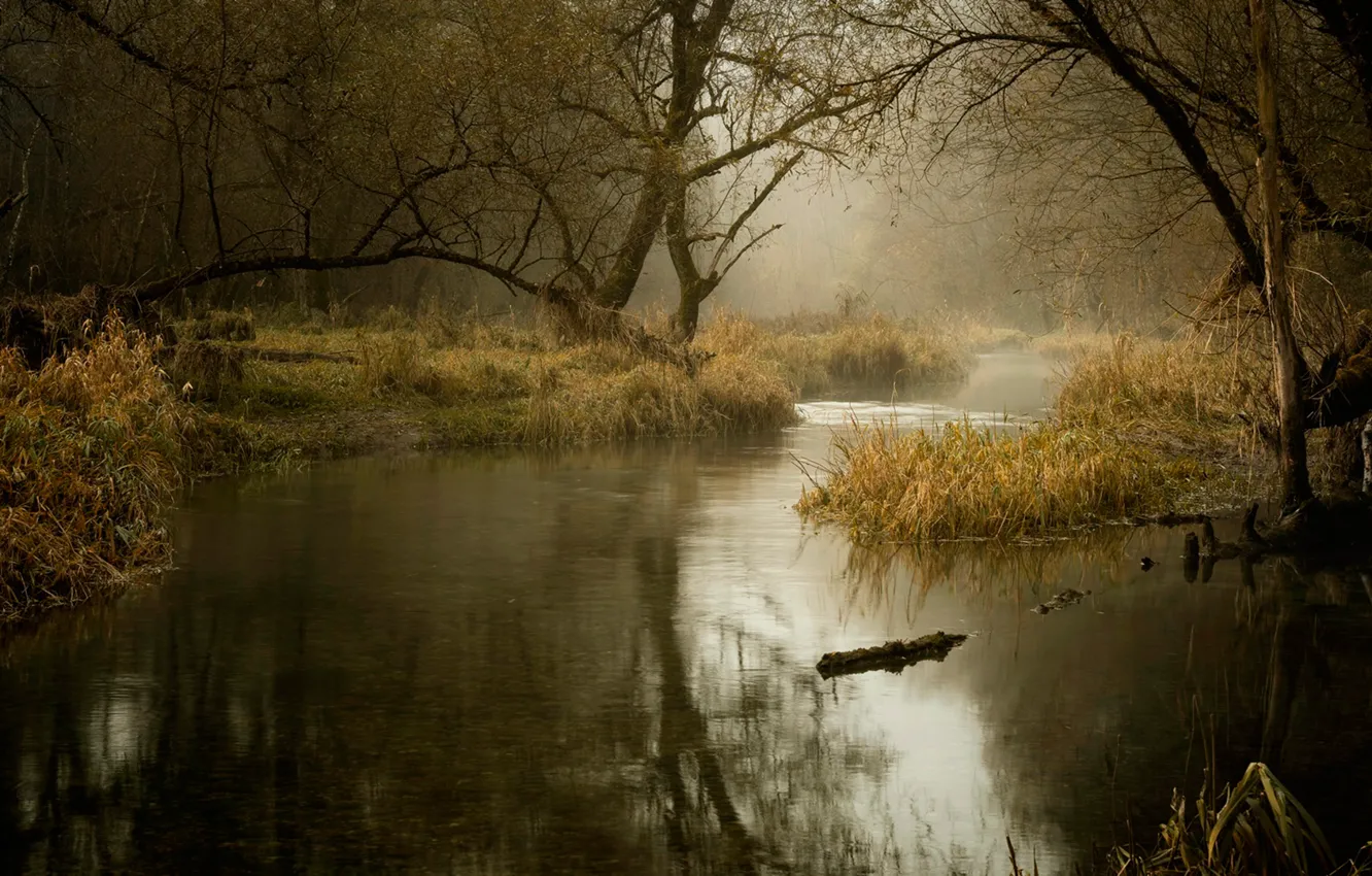 Фото обои осень, река, ноябрь