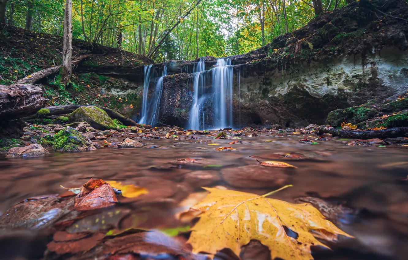Фото обои осень, лес, листья, природа, водопад