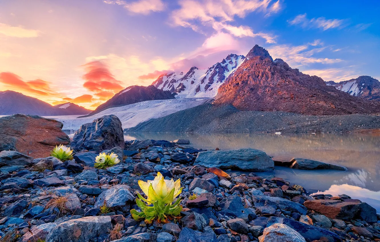 Фото обои цветы, горы, камни, берег, водоем