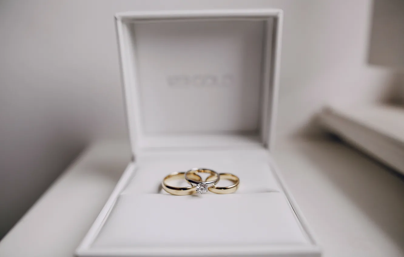 Фото обои love, gold, romantic, обручальные кольца, wedding, box gift