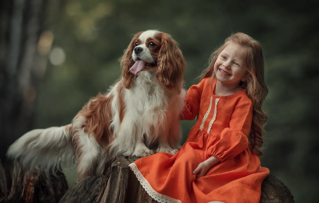 Фото обои радость, природа, животное, пень, собака, девочка, ребёнок, пёс