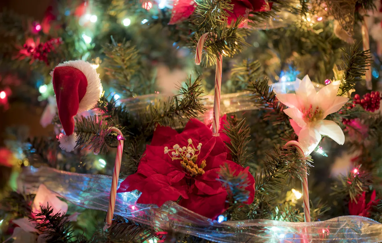 Фото обои украшения, цветы, ветки, ленты, праздник, игрушки, новый год, рождество