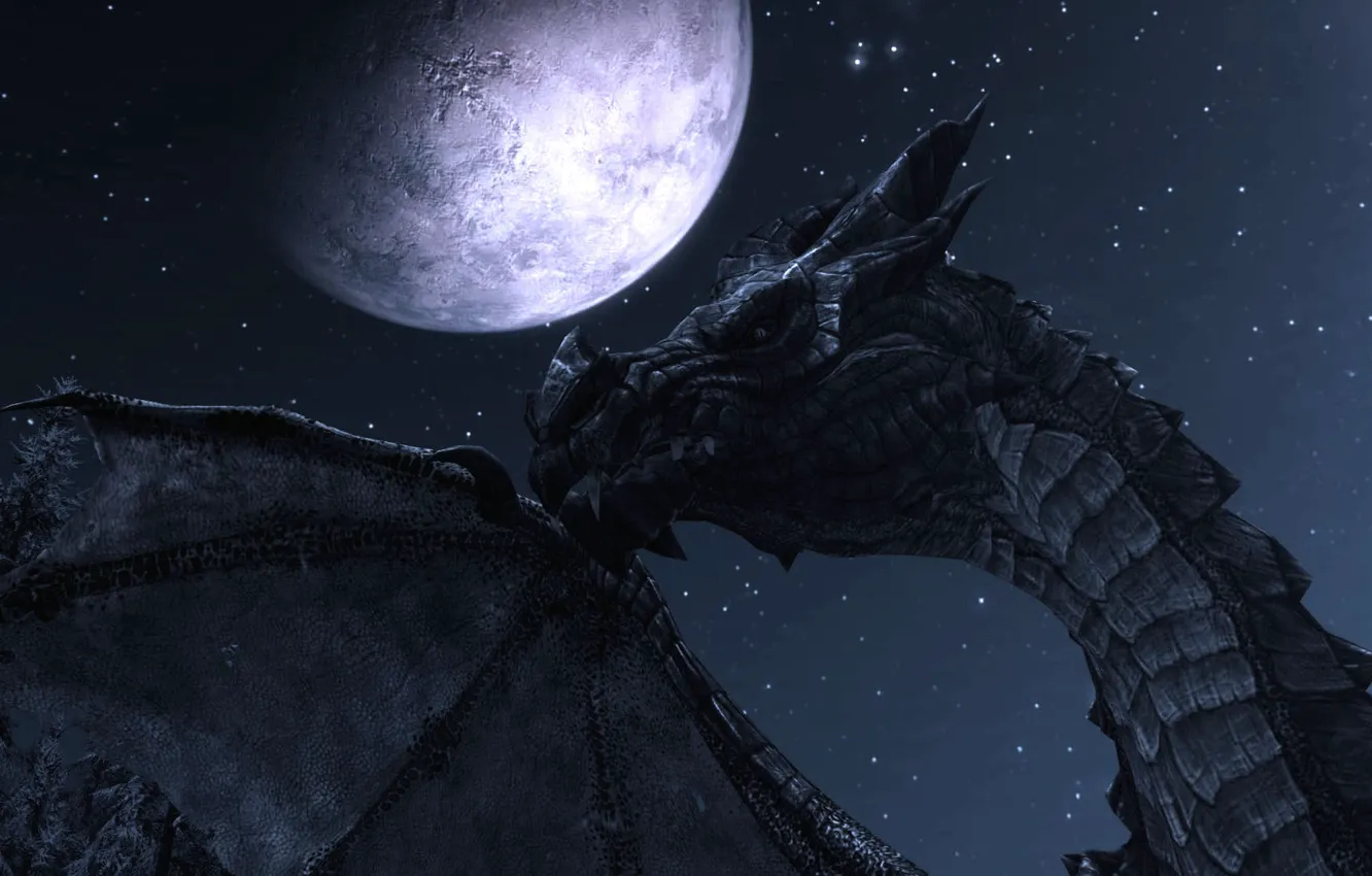 Фото обои ночь, луна, дракон, скайрим, The Elder Scrolls V Skyrim