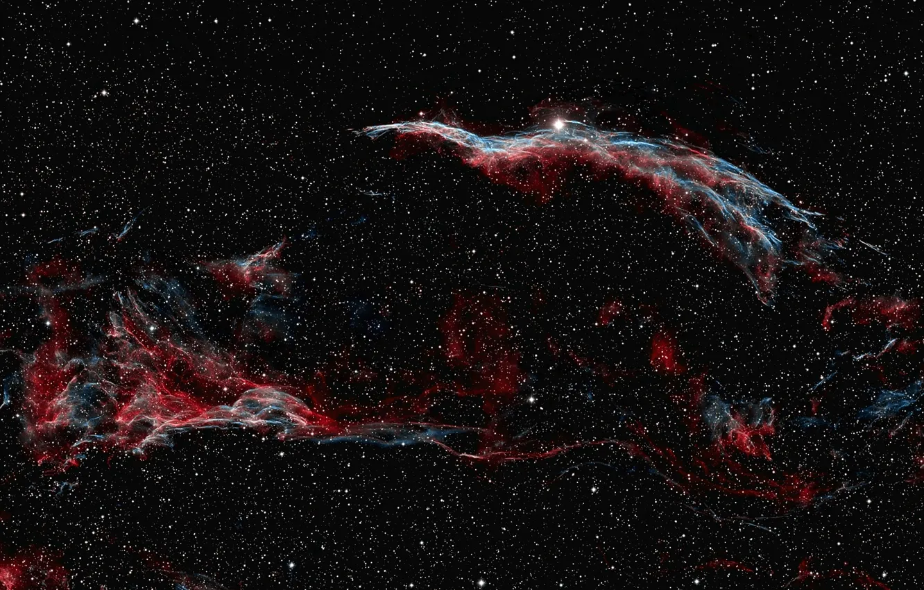 Фото обои Space, nebula, nebulae, The Veil Nebula, NGC 6979, NGC 6960, Pickering's Triangle, The Witch's Broom