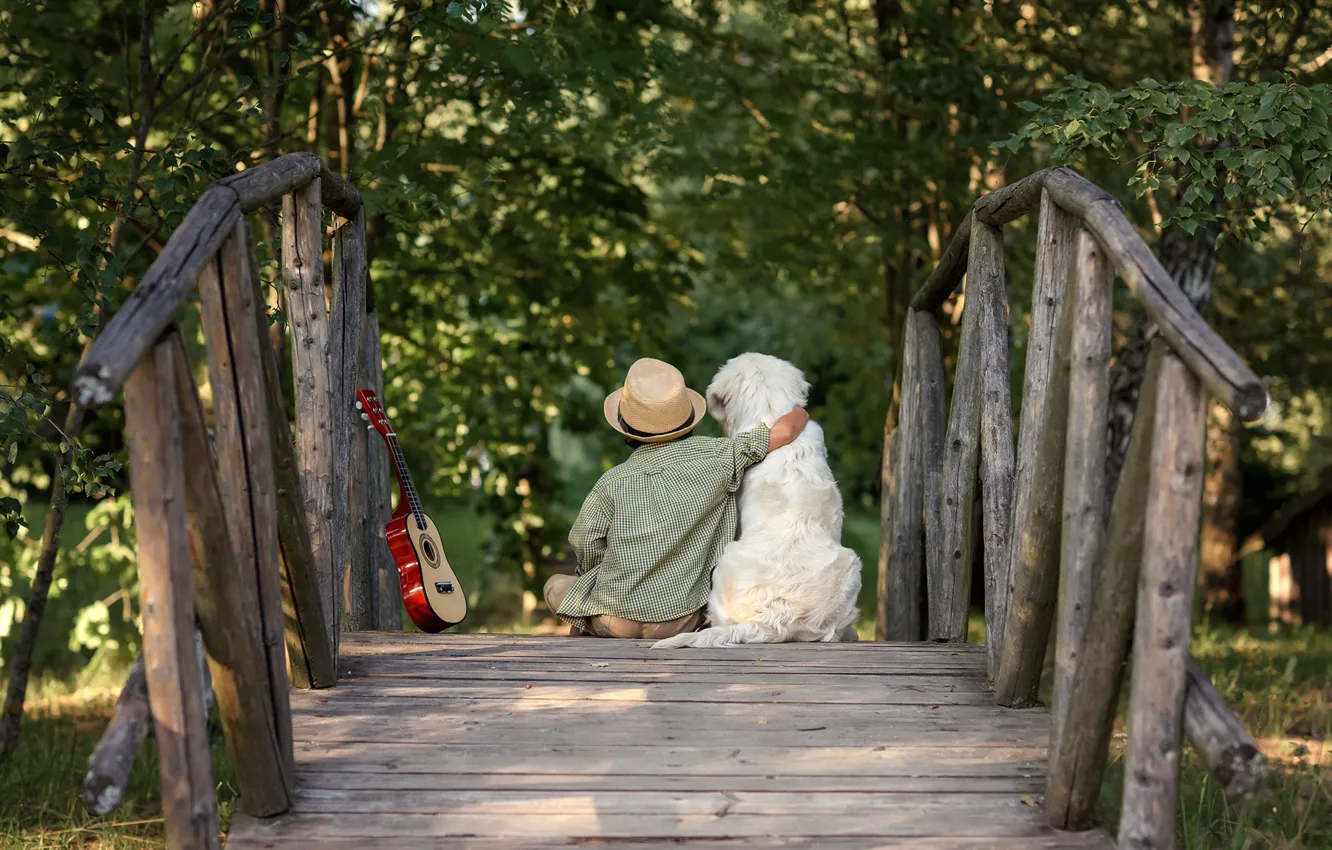 Фото обои природа, гитара, собака, мальчик, мостик, друзья, ребёнок, пёс