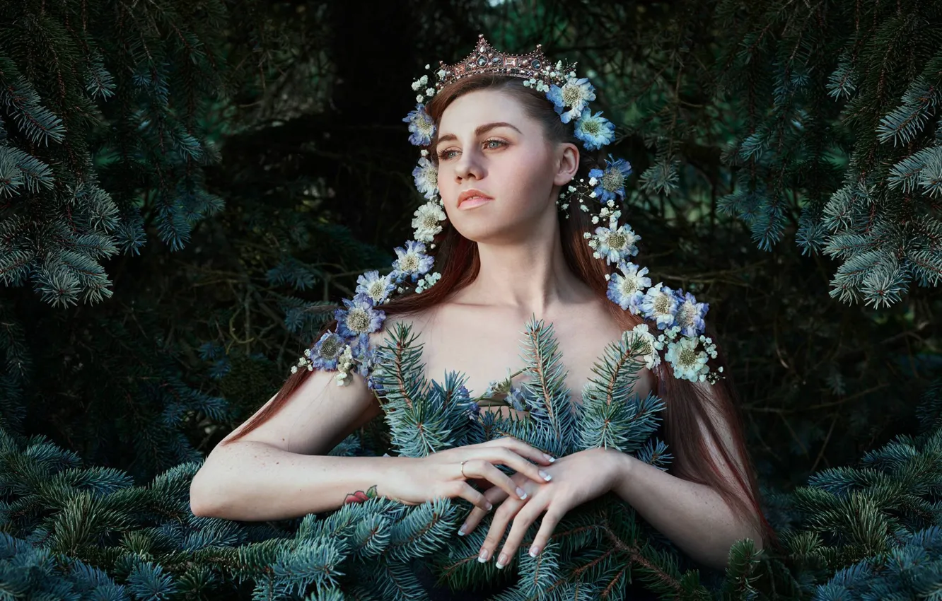 Фото обои девушка, цветы, настроение, корона, руки, еловые ветки, Bella Kotak, Olivia Ward