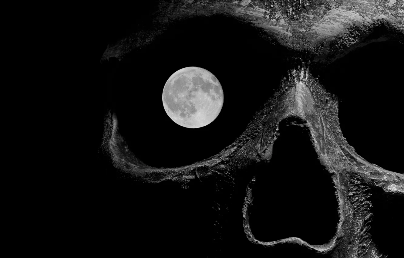 Фото обои смерть, луна, череп