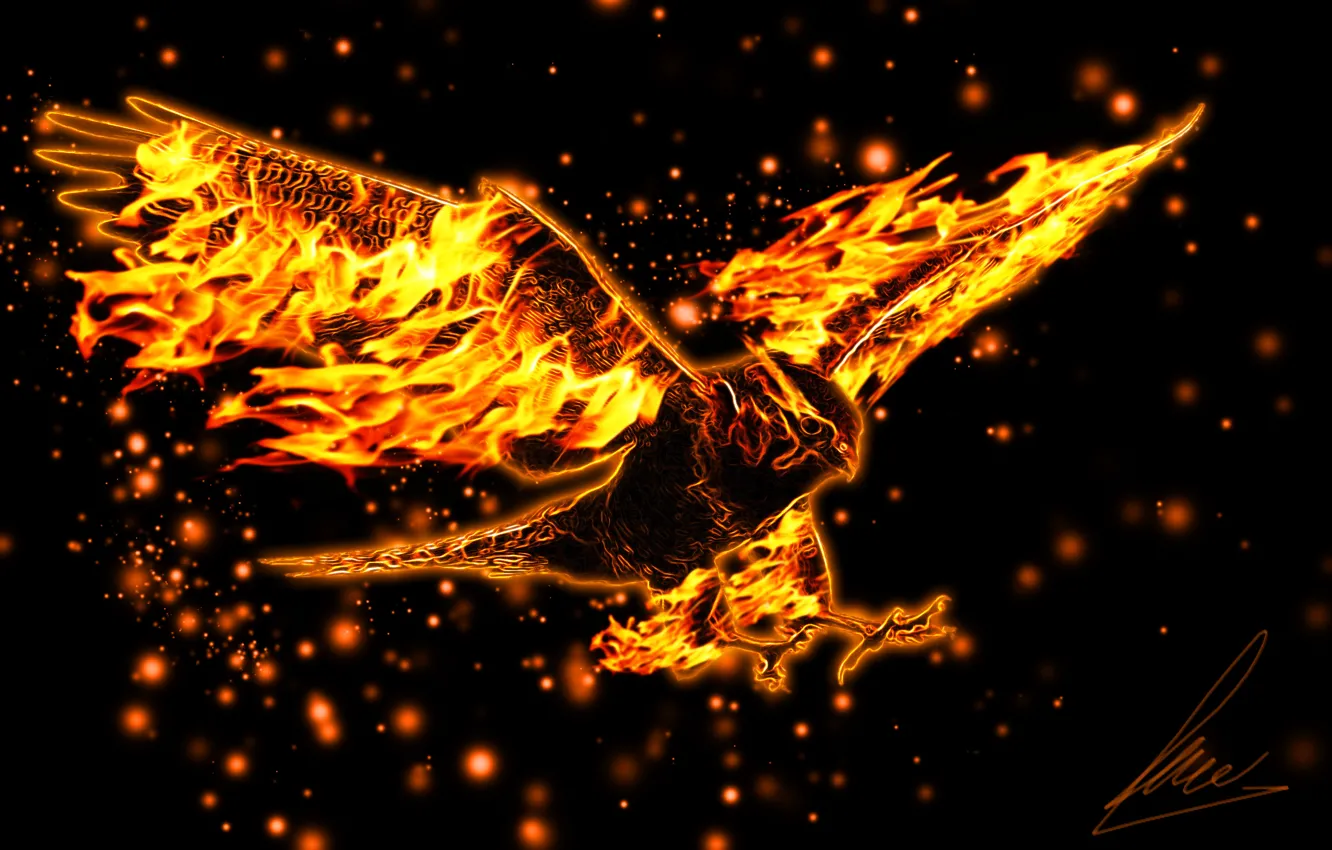 Фото обои орел, крылья, полёт, горящий