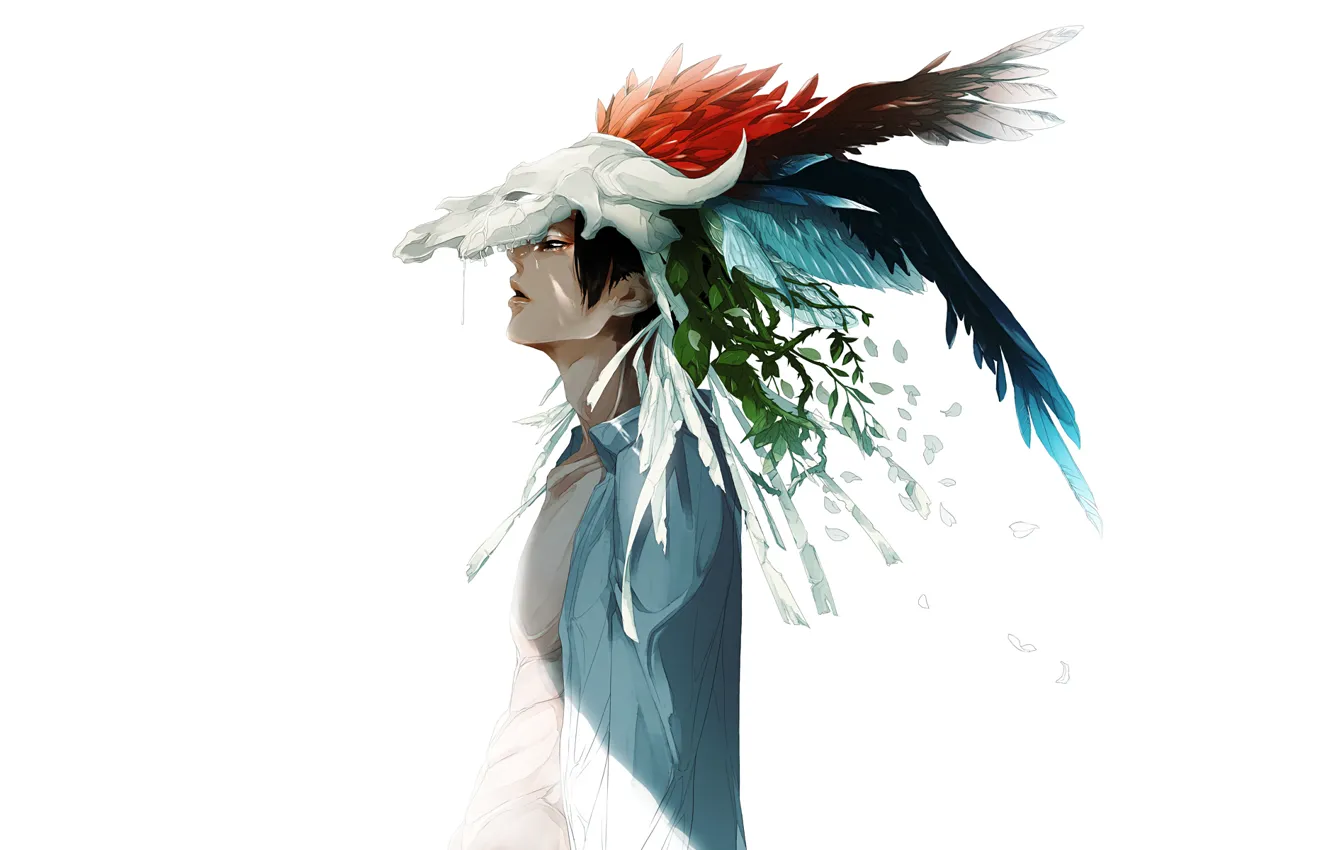 Фото обои листья, ветки, череп, перья, белый фон, Парень, рубашка