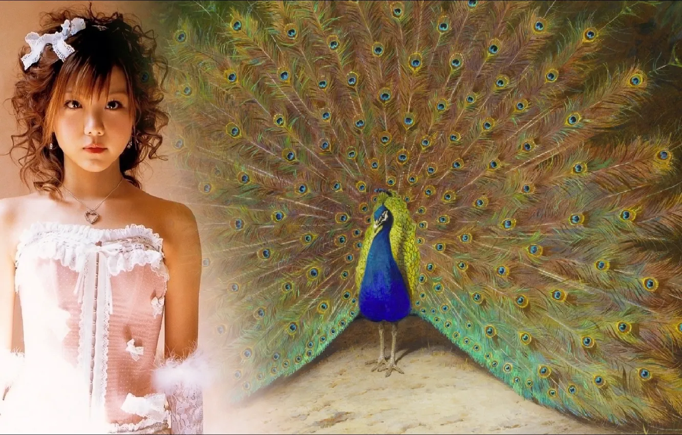 Фото обои картина, арт, красавица, ART, bird, pretty, beauty, singer