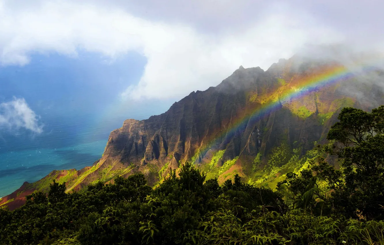 Фото обои лес, горы, радуга