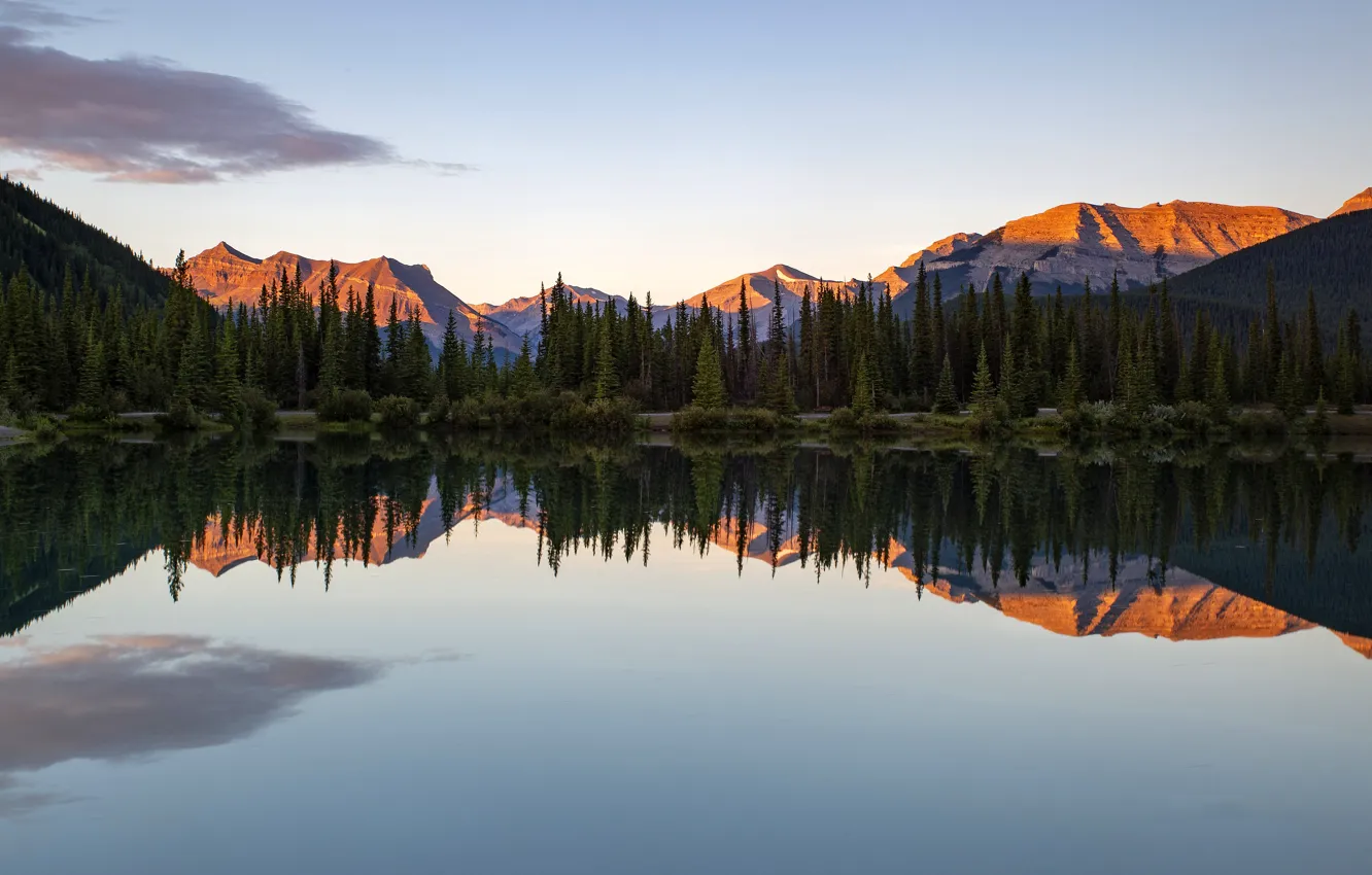 Зеркальное фото на андроид