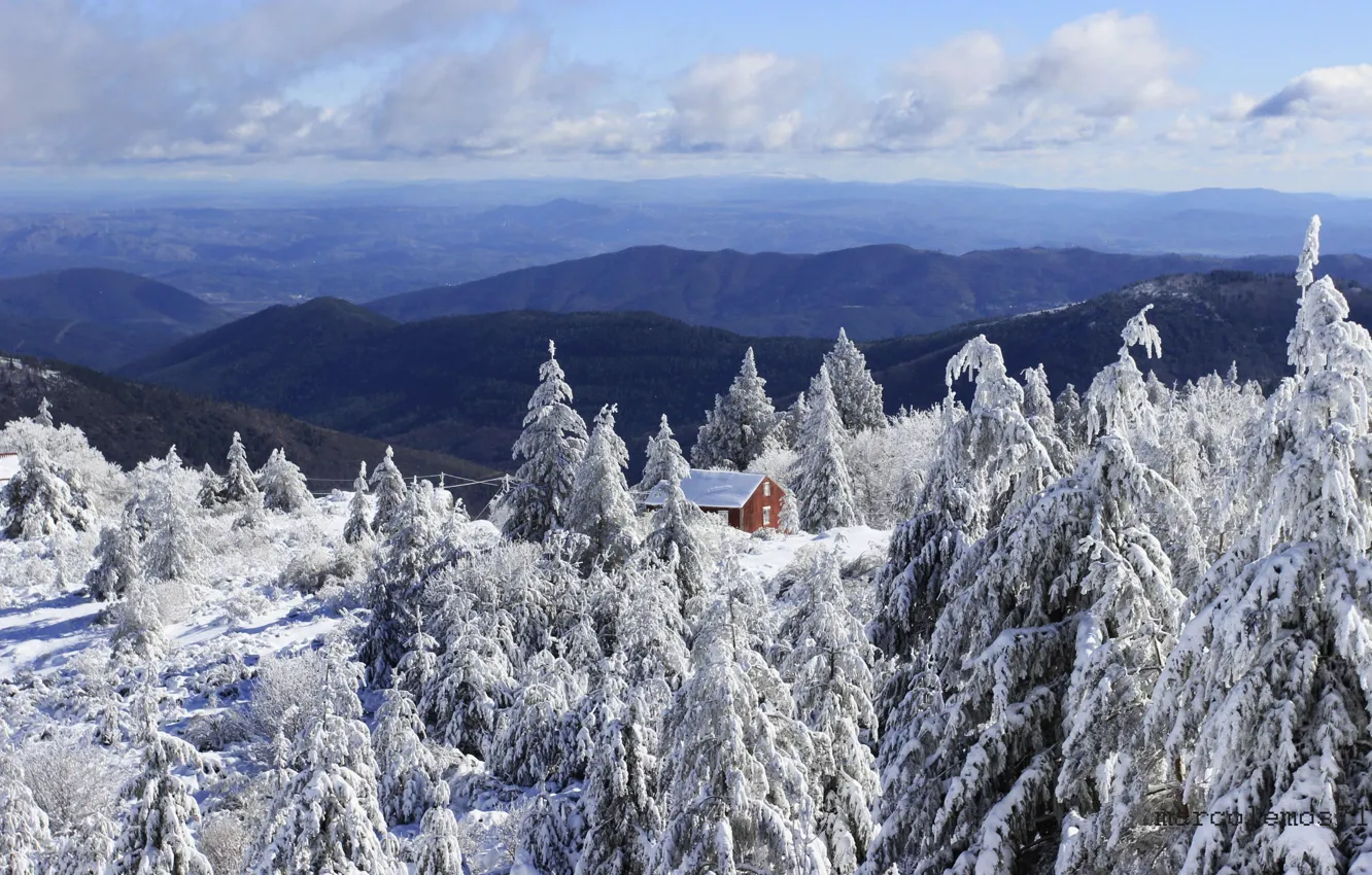 Фото обои зима, снег, деревья, пейзаж, горы, природа, дом, ели