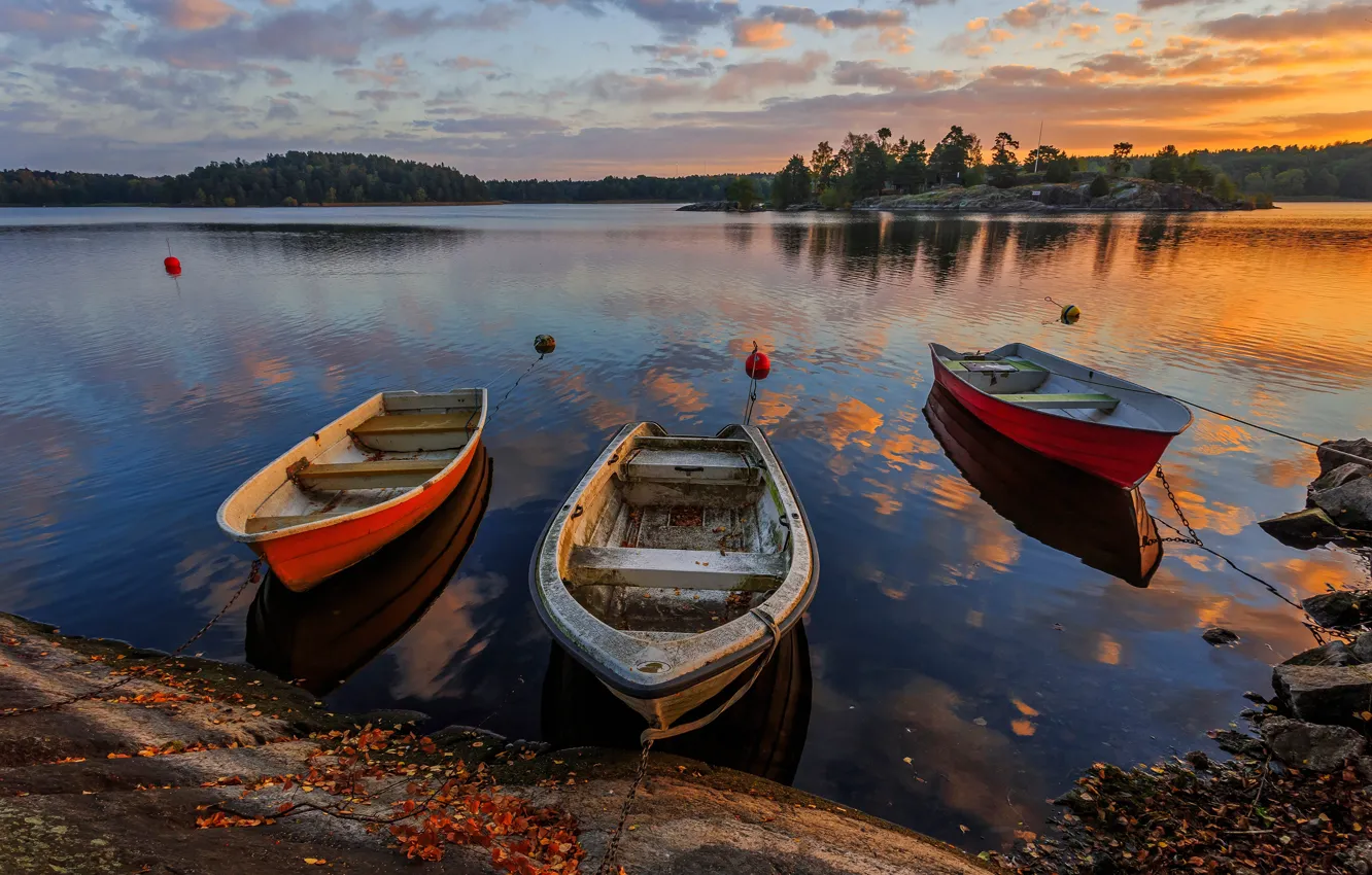 Фото обои лес, закат, река, берег, лодка, вечер, Швеция
