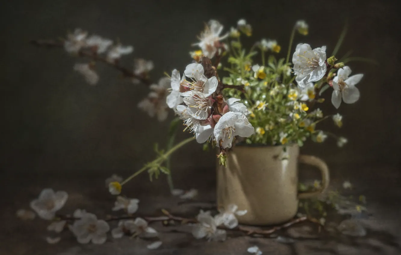 Фото обои цветы, ветки, вишня, кружка, натюрморт, Владимир Володин