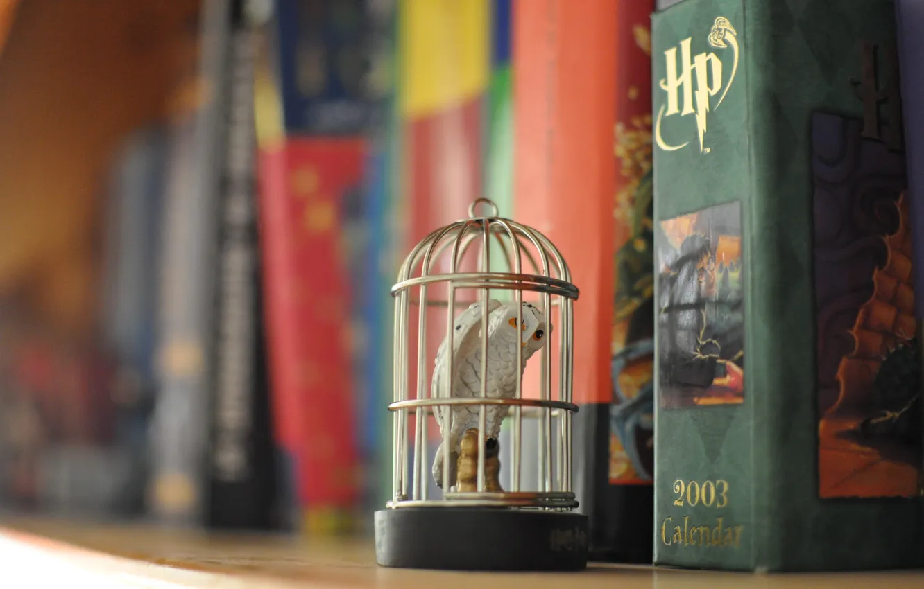 Фото обои сова, клетка, Гарри Поттер