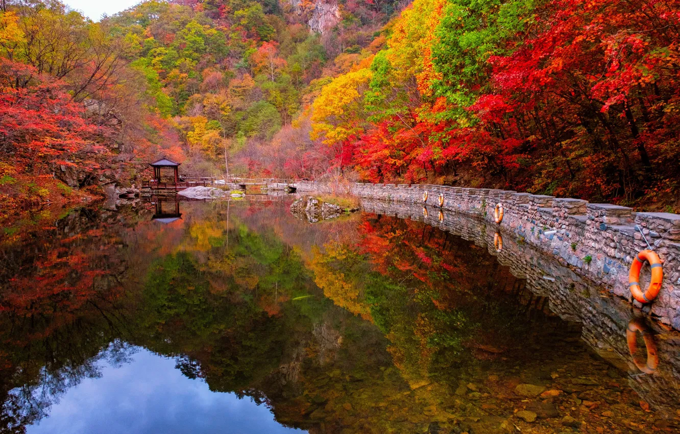 Фото обои осень, лес, деревья, горы, озеро, отражение, берег, Япония