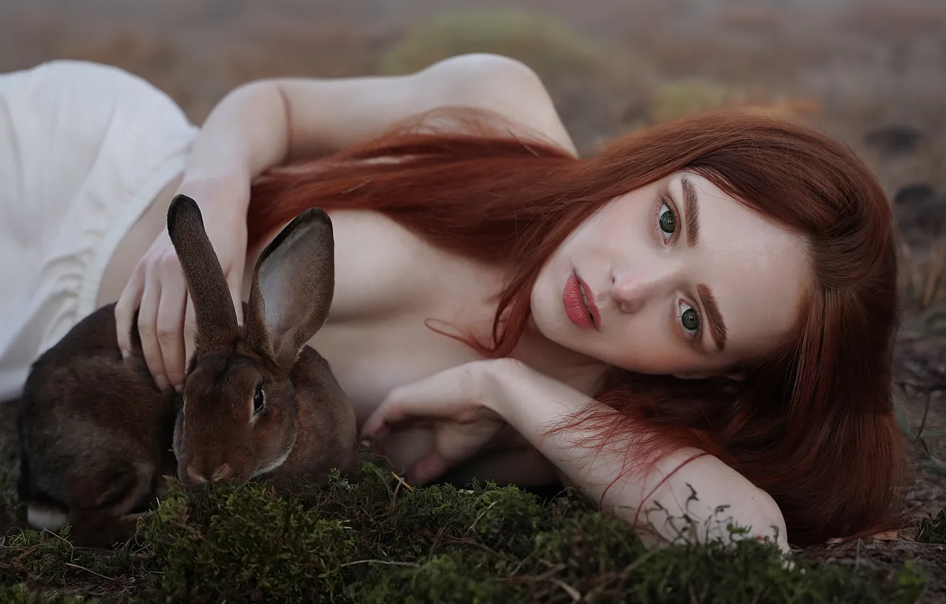 Фото обои rabbit, redhead, Марина Жаринова
