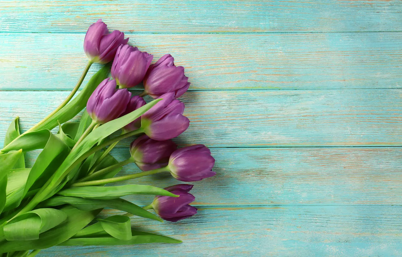 Фото обои цветы, букет, тюльпаны, wood, flowers, tulips, spring, purple