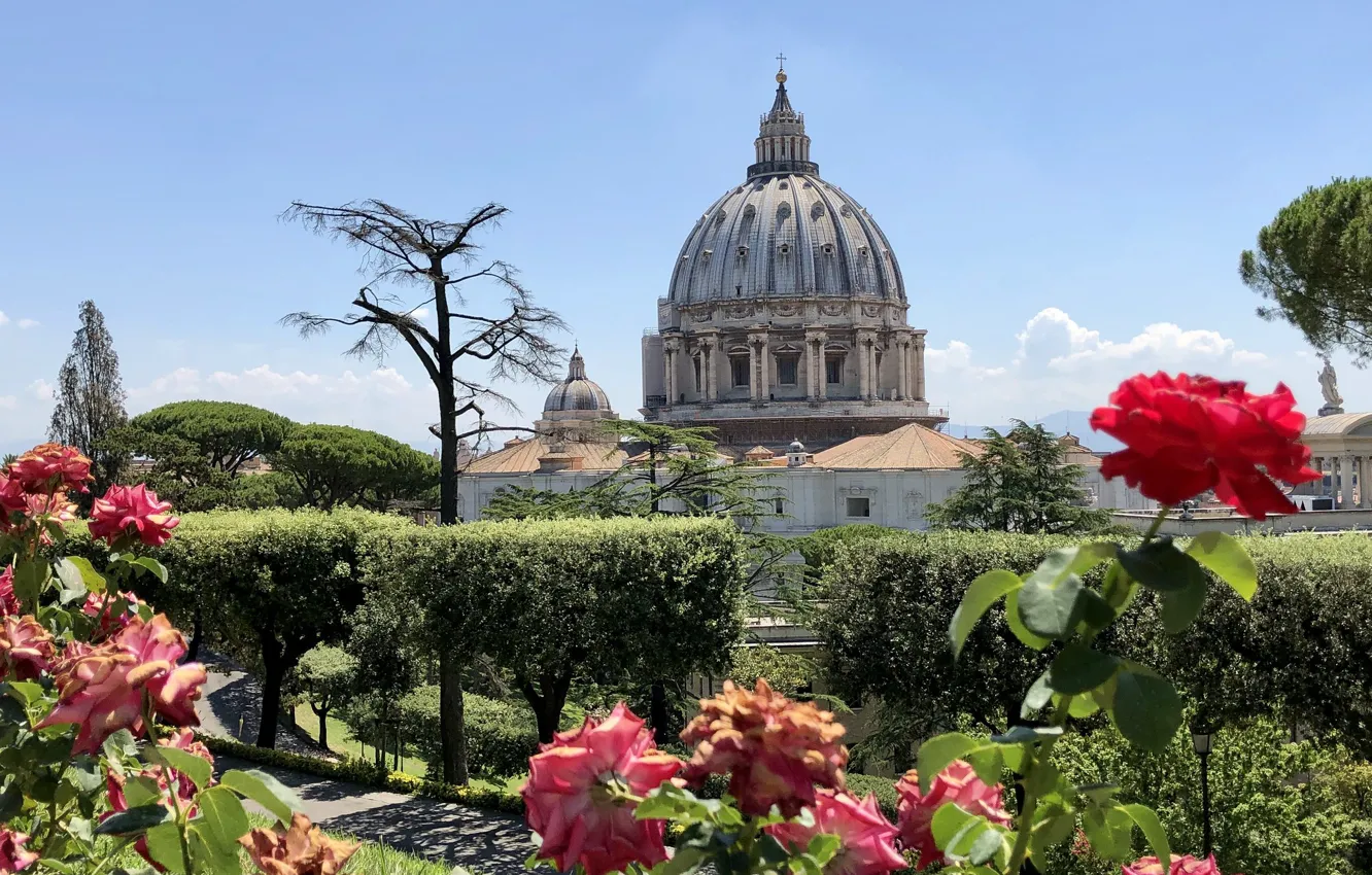 Фото обои цветы, парк, Ватикан, Собор Святого Петра, Сады Ватикана