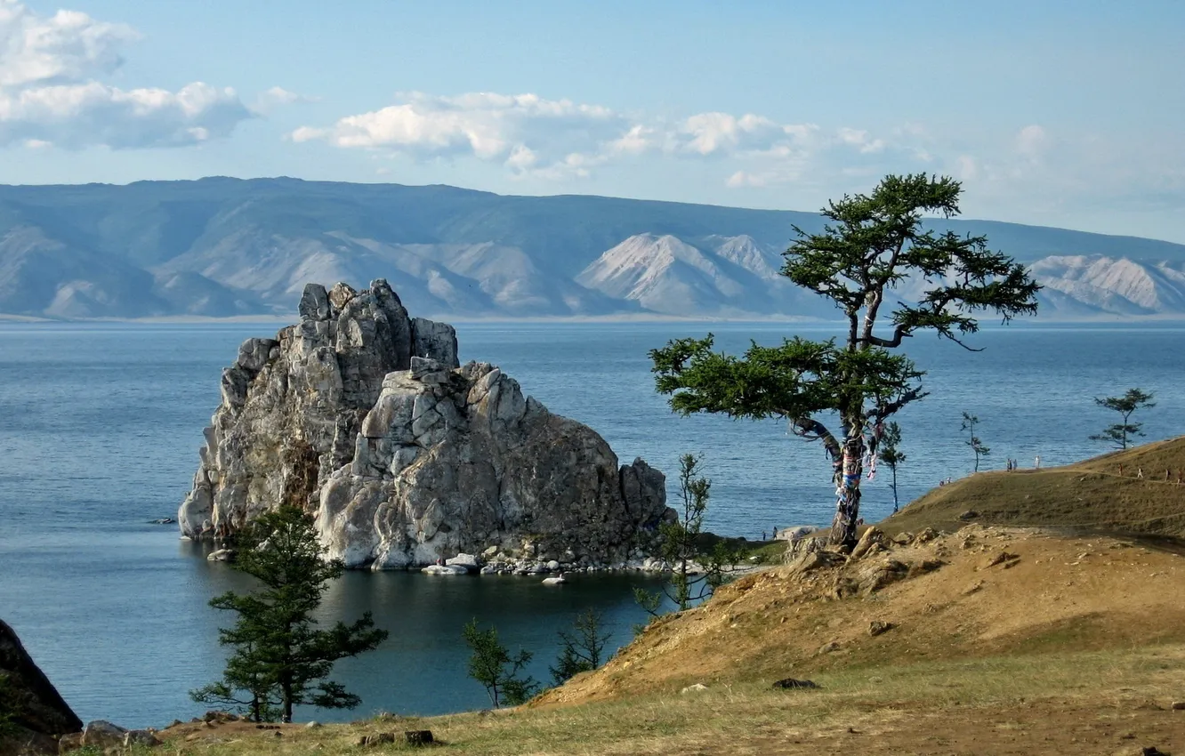 Фото обои деревья, пейзаж, природа