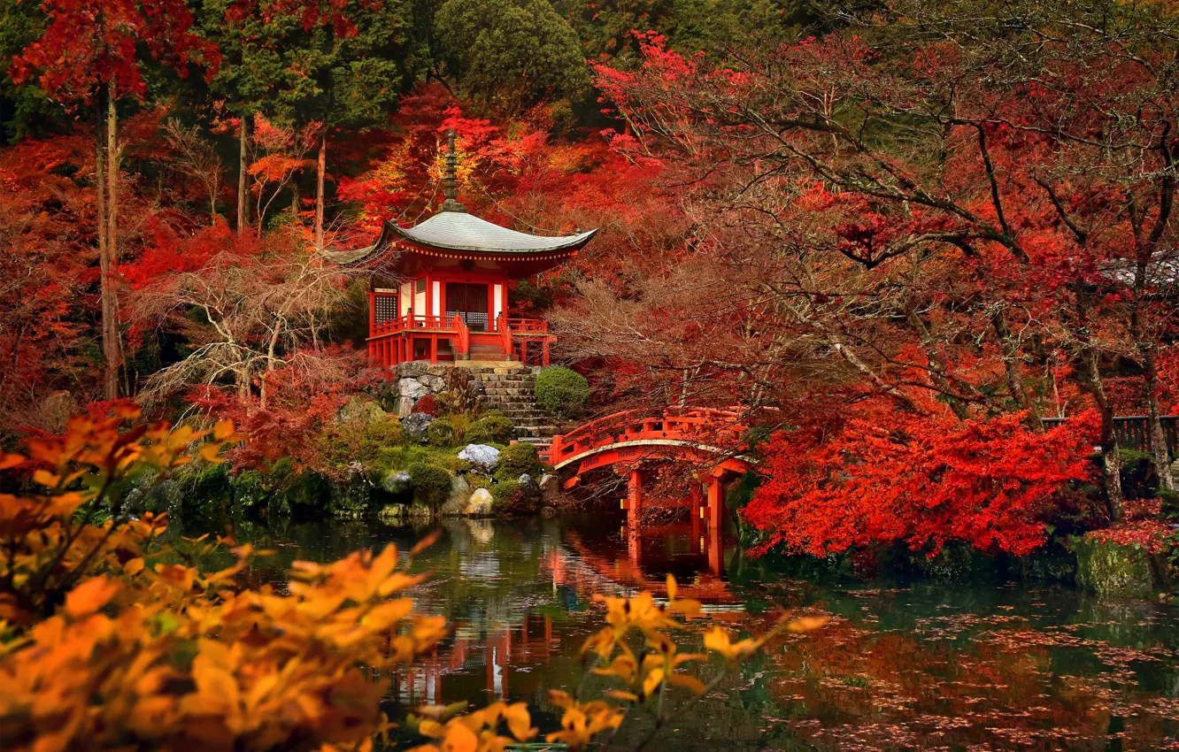 Фото обои деревья, мост, пруд, Япония, сад, Киото, храм Дайго-дзи Bentendo Hall