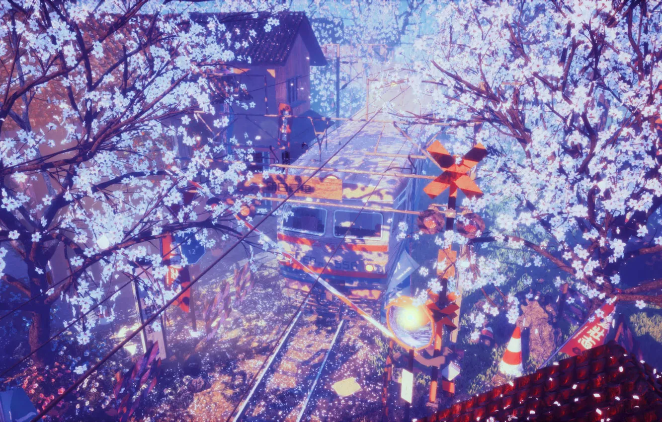 Фото обои поезд, весна, станция, сакура