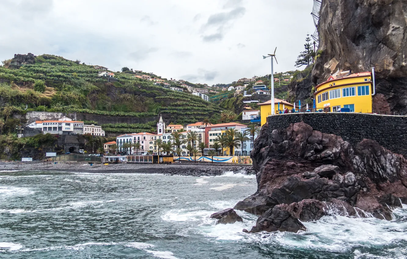 Фото обои море, пляж, пальмы, скалы, побережье, дома, Португалия, Ponta Do Sol