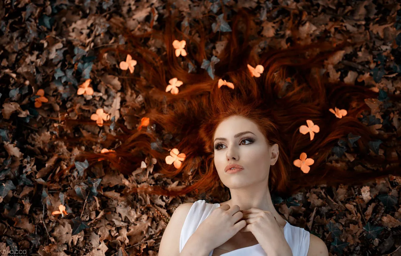 Фото обои осень, листья, цветы, лицо, настроение, волосы, рыжая, рыжеволосая