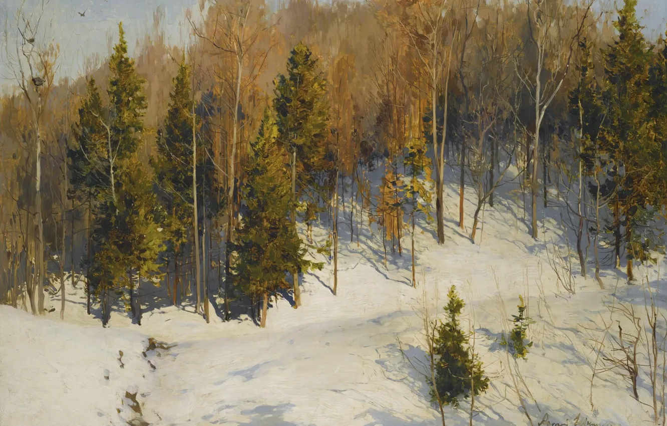 Фото обои зима, лес, снег, пейзаж, елки, картина, склон, Andrei Schilder