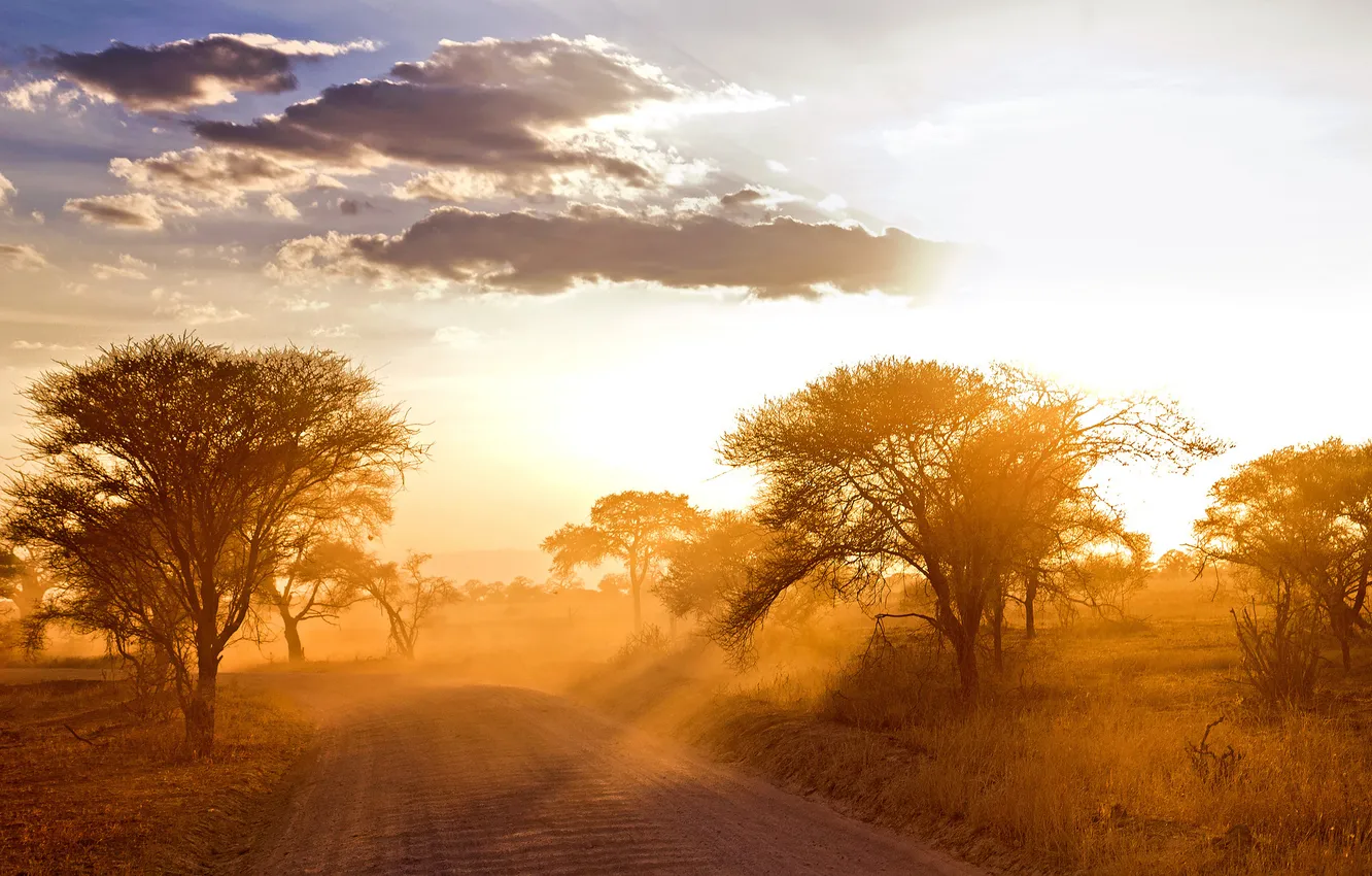 Фото обои дорога, пейзаж, утро, Африка