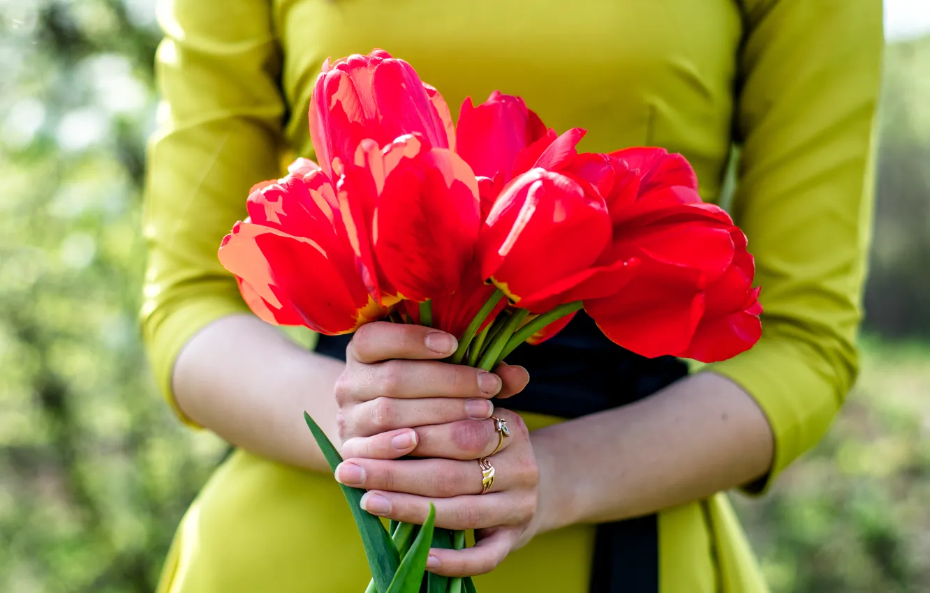 Фото обои девушка, цветы, весна, руки, тюльпаны, пояс, деталь, бант
