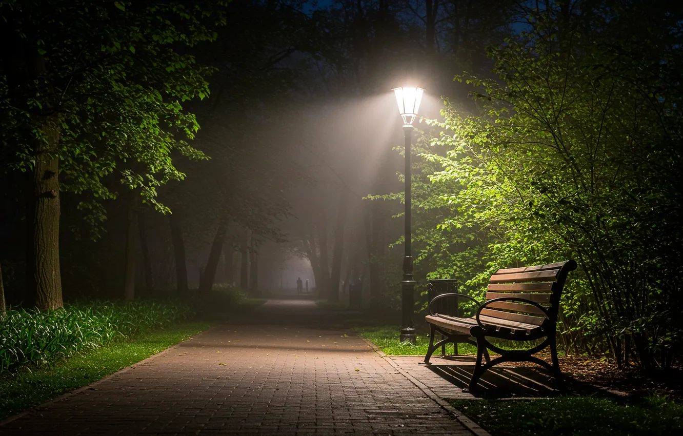 Фото обои деревья, скамейка, ночь, парк, дорожка, фонарь, trees, night