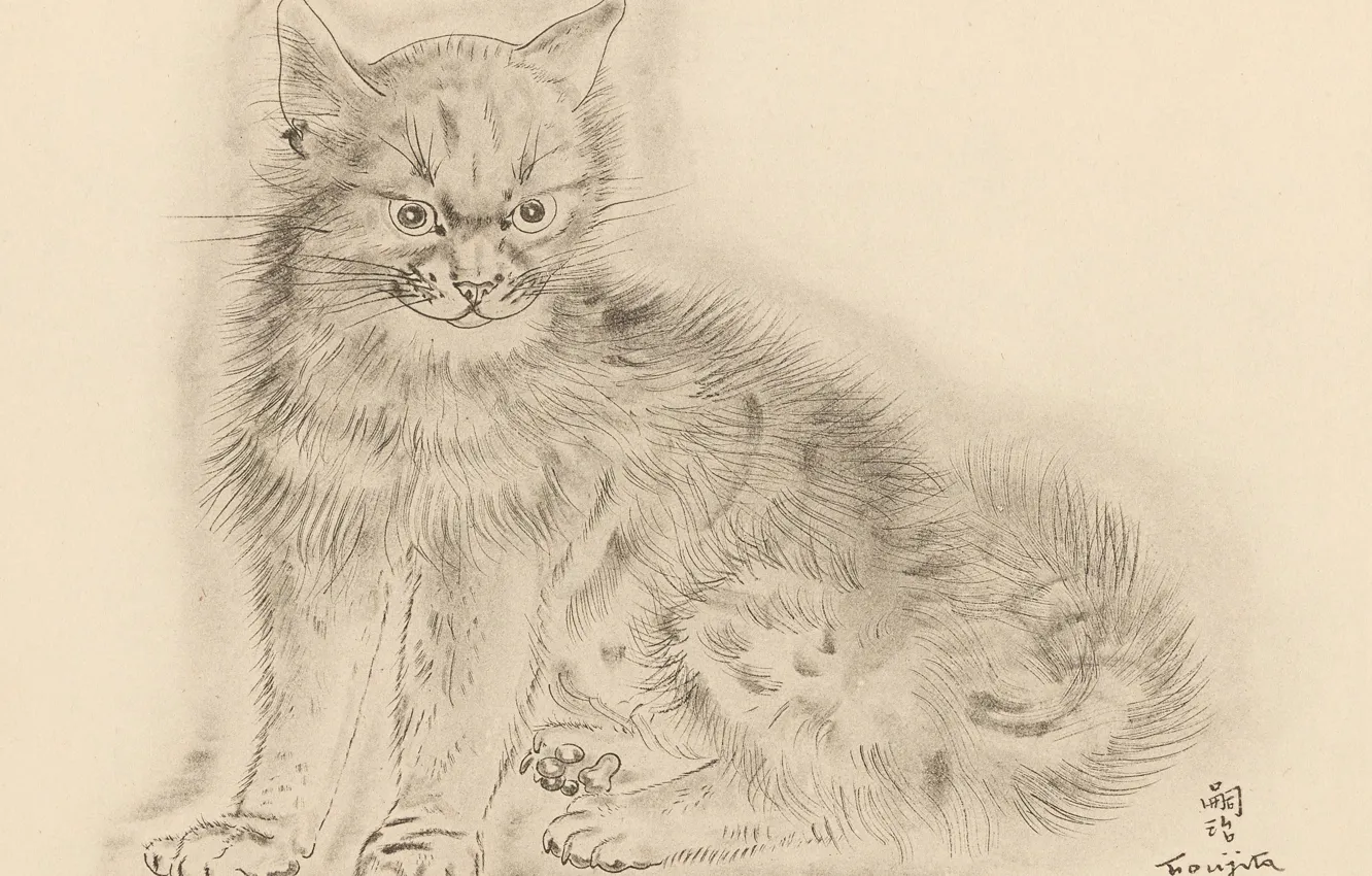 Фото обои кот, серый, хмурый, 1930, Цугухару, Фудзита, Книга Кошек