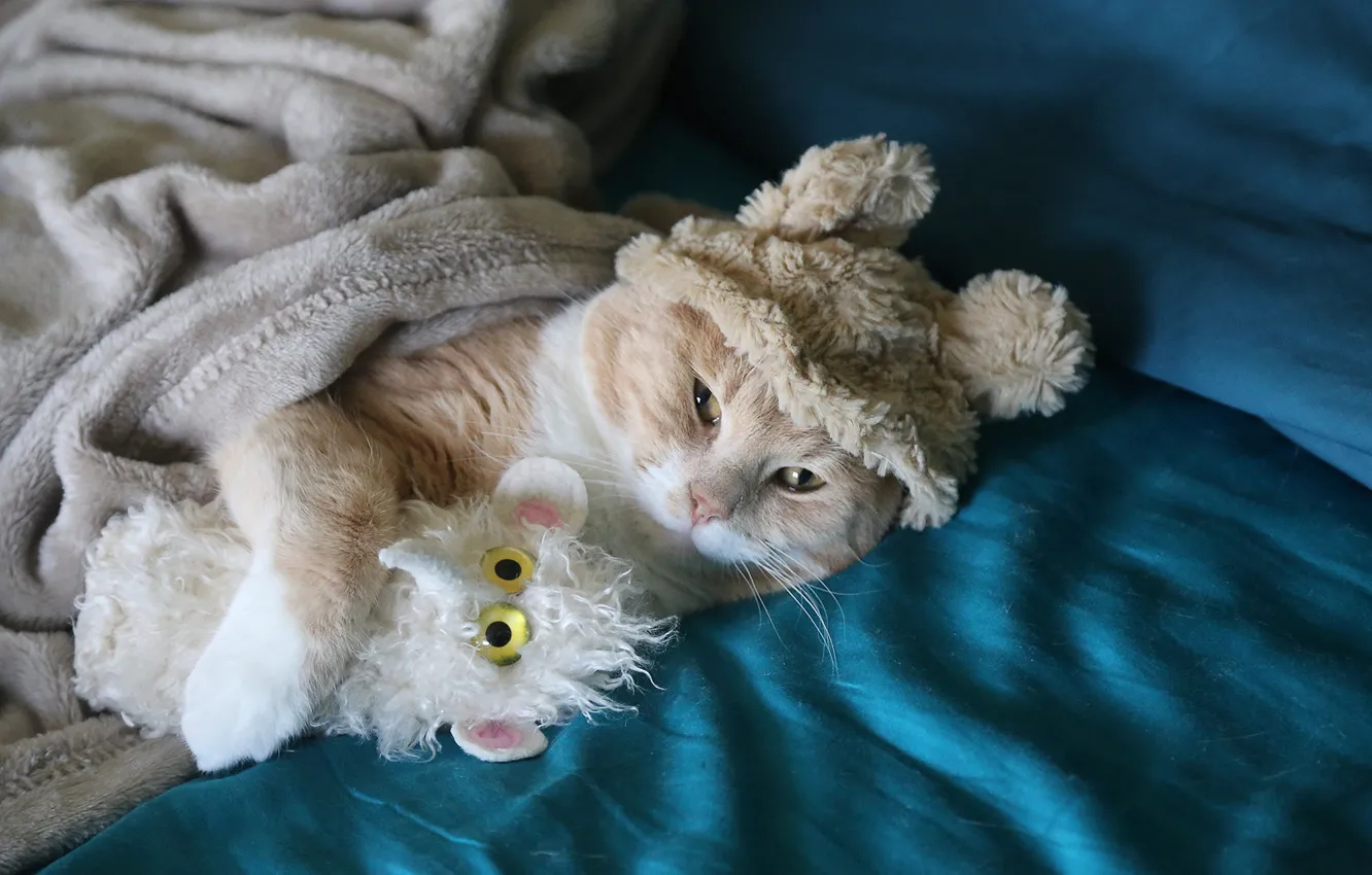 Фото обои кошка, кот, взгляд, игрушка, рыжий, постель, лежит, образ