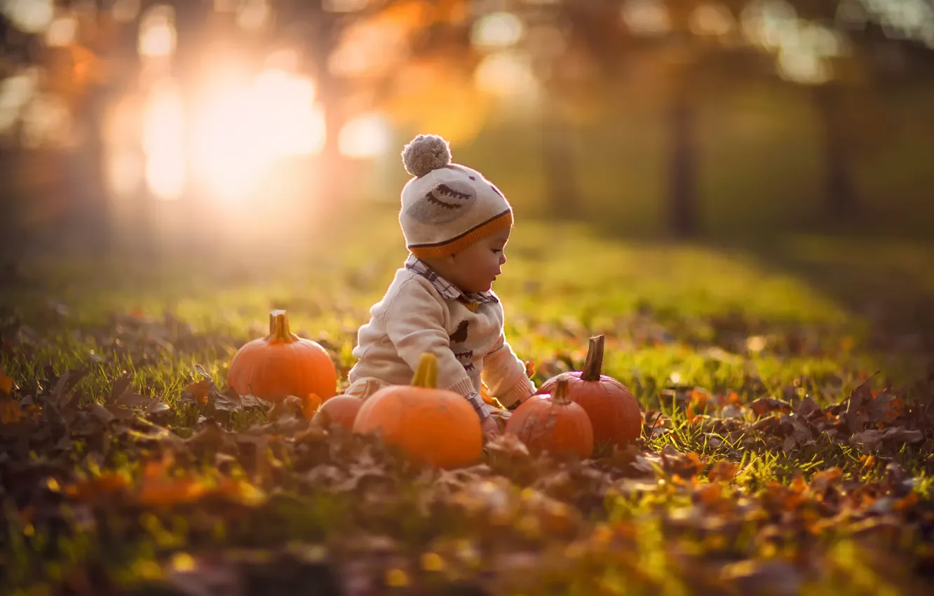 Фото обои осень, природа, тыквы, ребёнок, боке